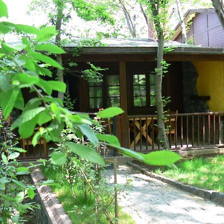 Dolunay Fanizan Hotel Fatsa Exterior photo